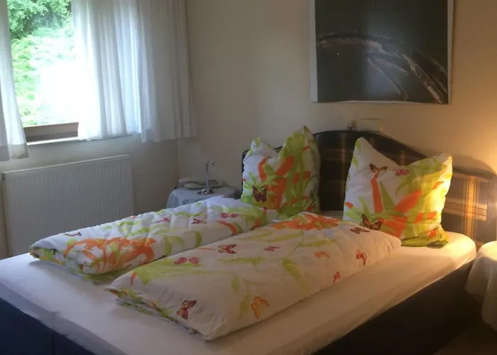 Icc Pfaelzer Hof - & Seminarhaus * Шёнау